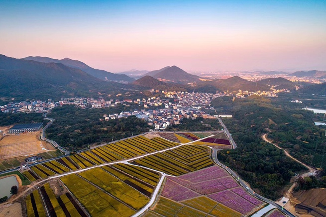 ���������ʾ�����ѡ���Ͱ������㽭ʡ�����п������������馴壺���֦ͷ������ǧ�����绨��Ц