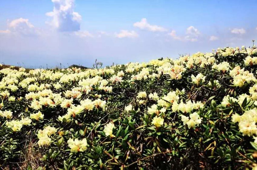 �ػ����Ĺ��þֹ�ͼ