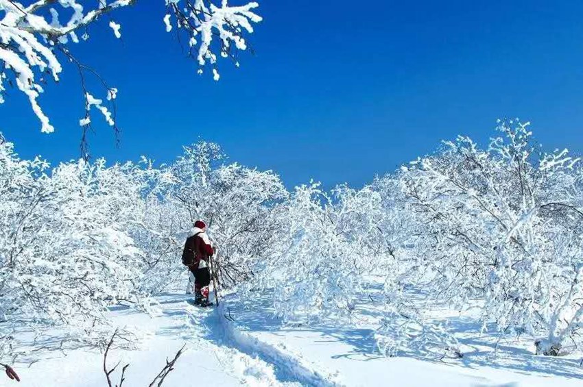 �ػ����Ĺ��þֹ�ͼ