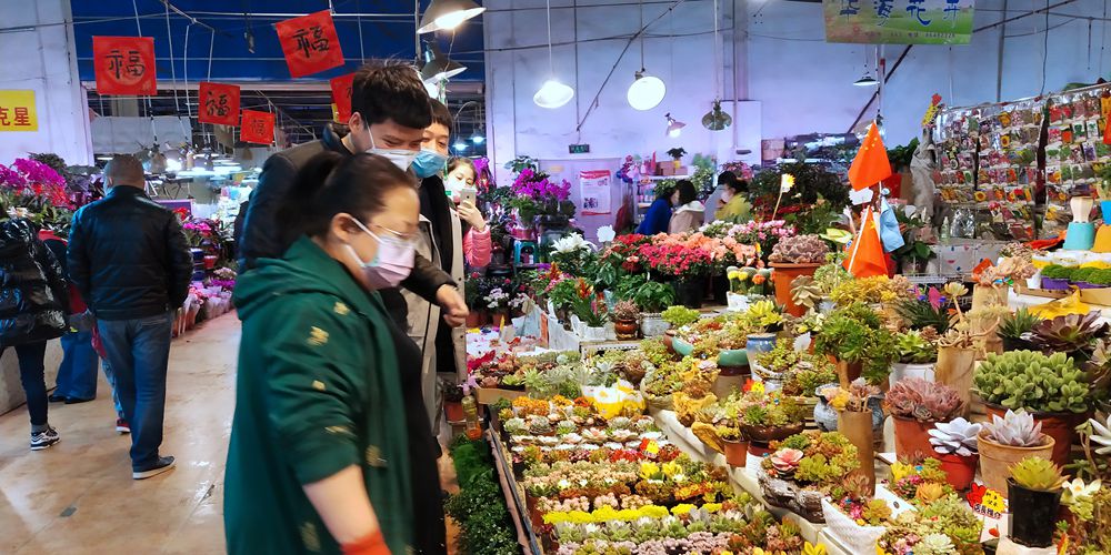 花卉市場內，市民在精心挑選花卉植物