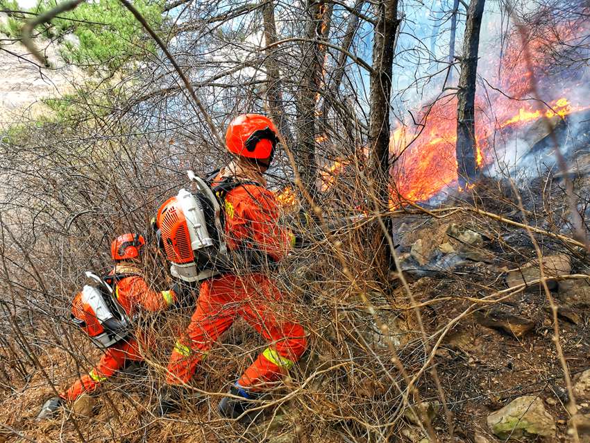 【組圖】吉林省森林消防總隊400名指戰員跨區增援山西榆社縣火場【4】