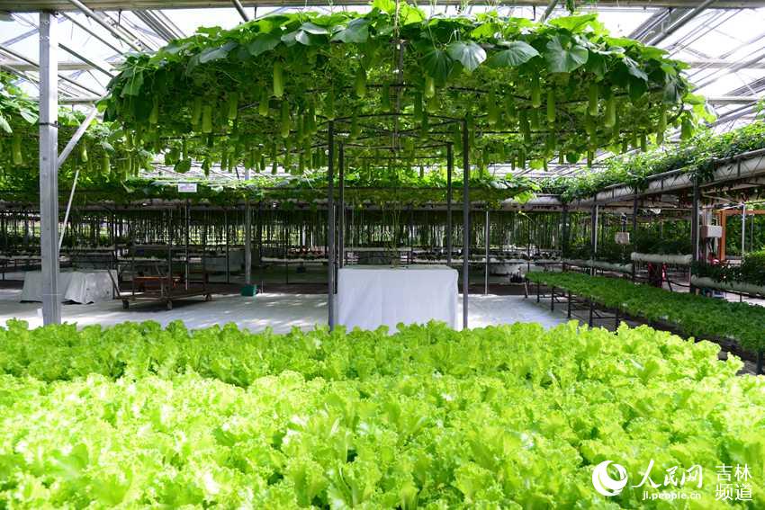 ͼΪ����ũ���������ͼ��������ֲ���߲ˡ������� ���� �㡣