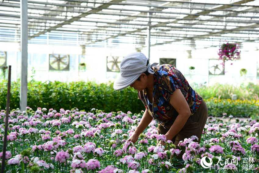 在花卉展區，工作人員正在整理鮮花。人民網李洋 攝。