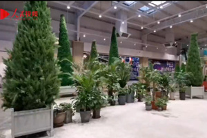 人民網的vlog：中東新天地購物公園