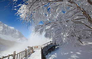 溫暖相約 冬季到吉林來玩雪