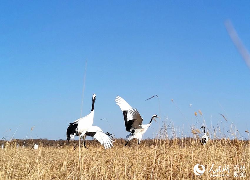 ͼΪ����ĪĪ����Ҽ���Ȼ������������ĵ����ס����ΰ��