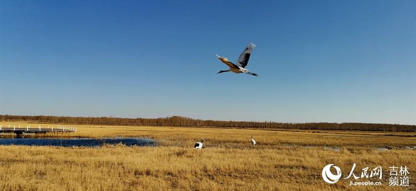 ͼΪ����ĪĪ����Ҽ���Ȼ������������ĵ����ס����ΰ��