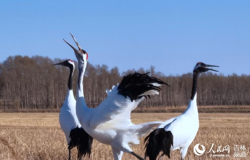 ͼΪ����ĪĪ����Ҽ���Ȼ������������ĵ����ס�������