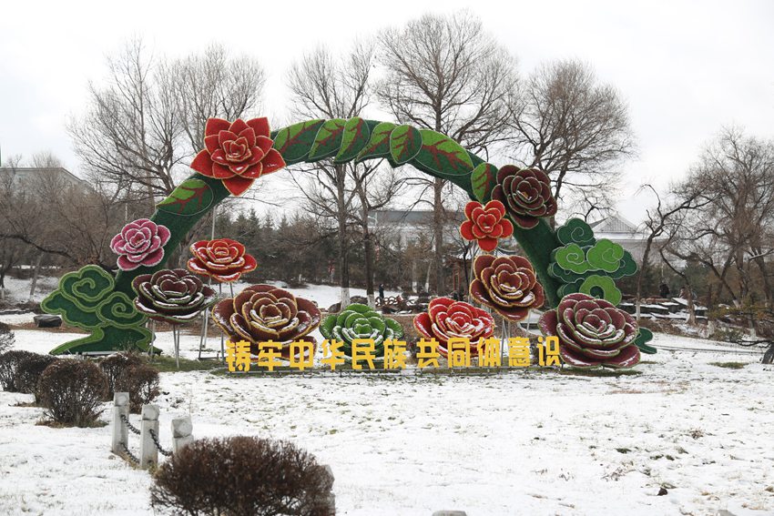 延吉初雪  （王晓彤 摄）