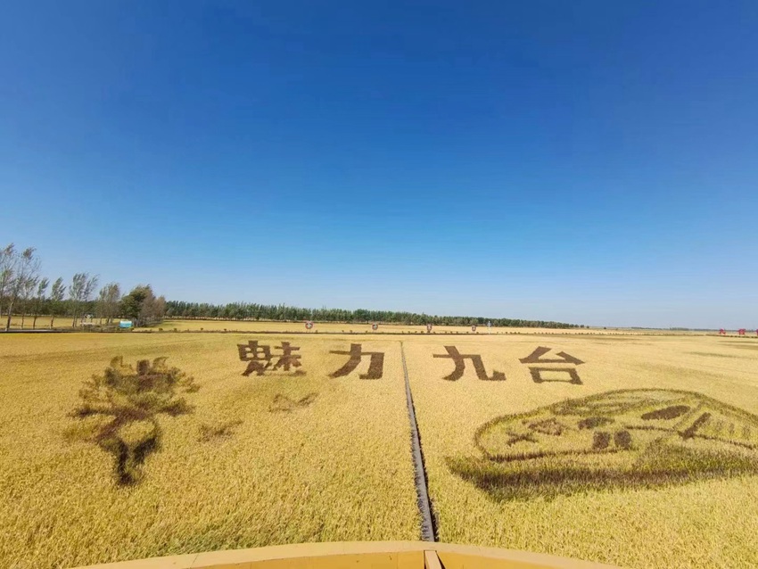 金色“稻”路成村民致富路