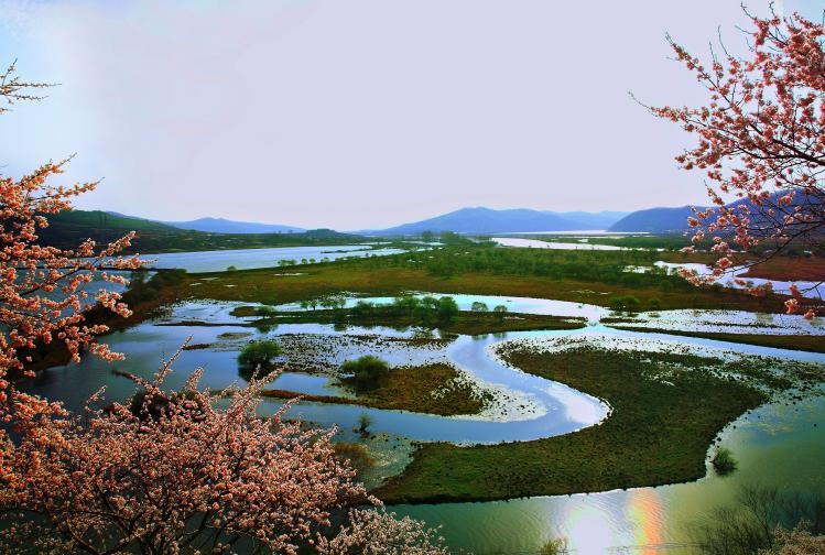 雁鳴湖濕地的春。