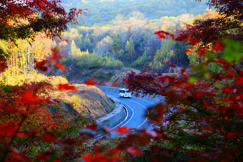 寒蔥嶺紅色旅游觀光的秋。