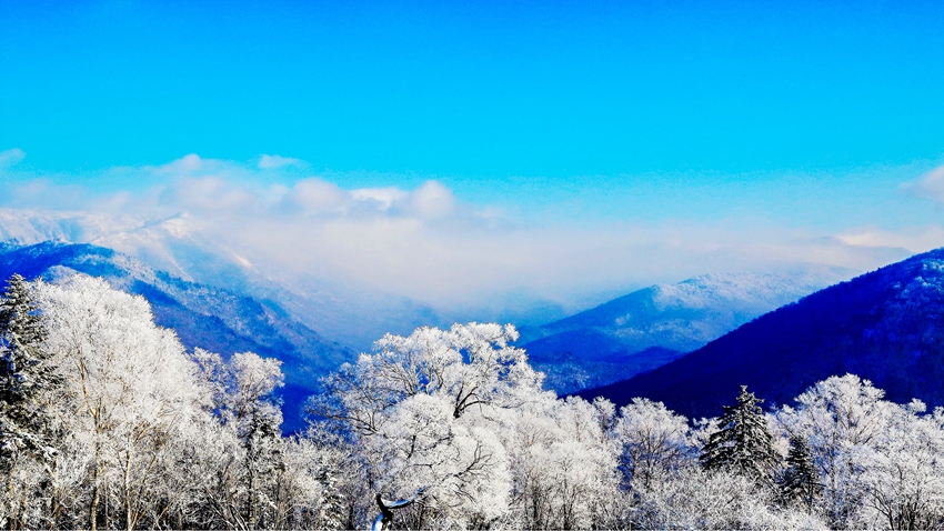 老白山原始生態風景區的冬。