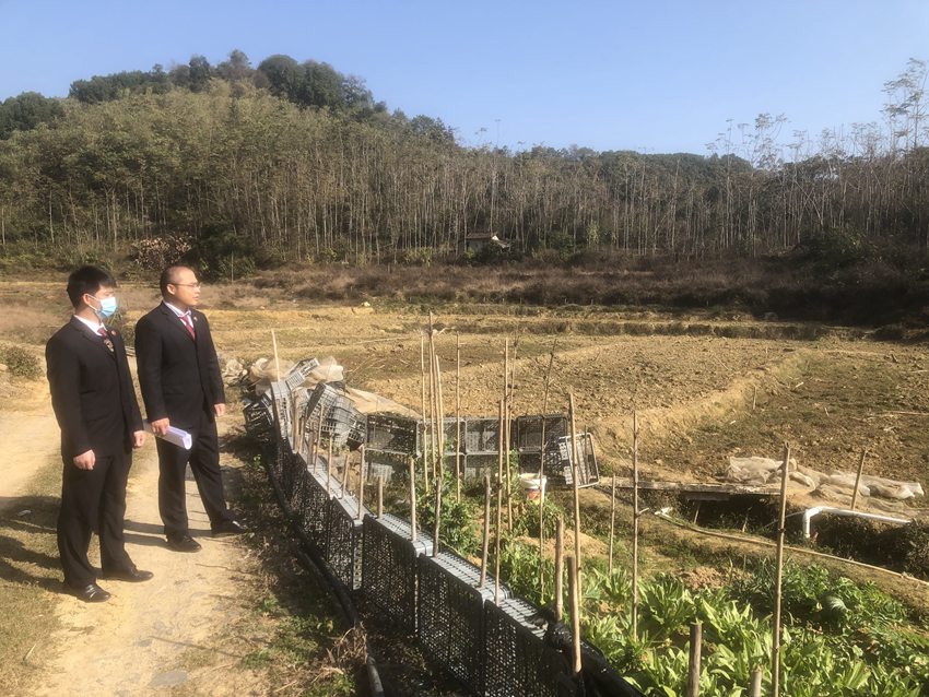 牛蛙整改后。