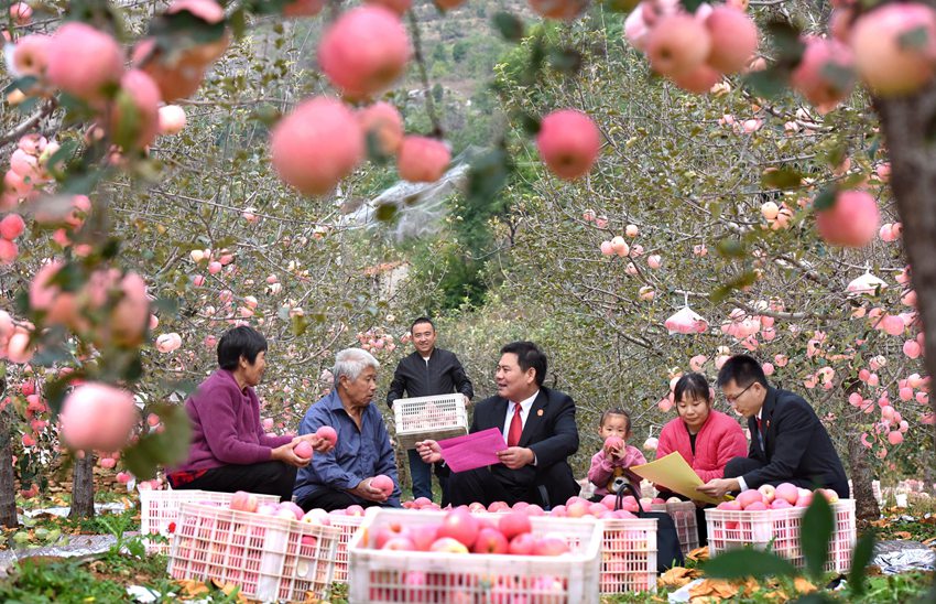 法官到田间地头排查隐患、化解矛盾。