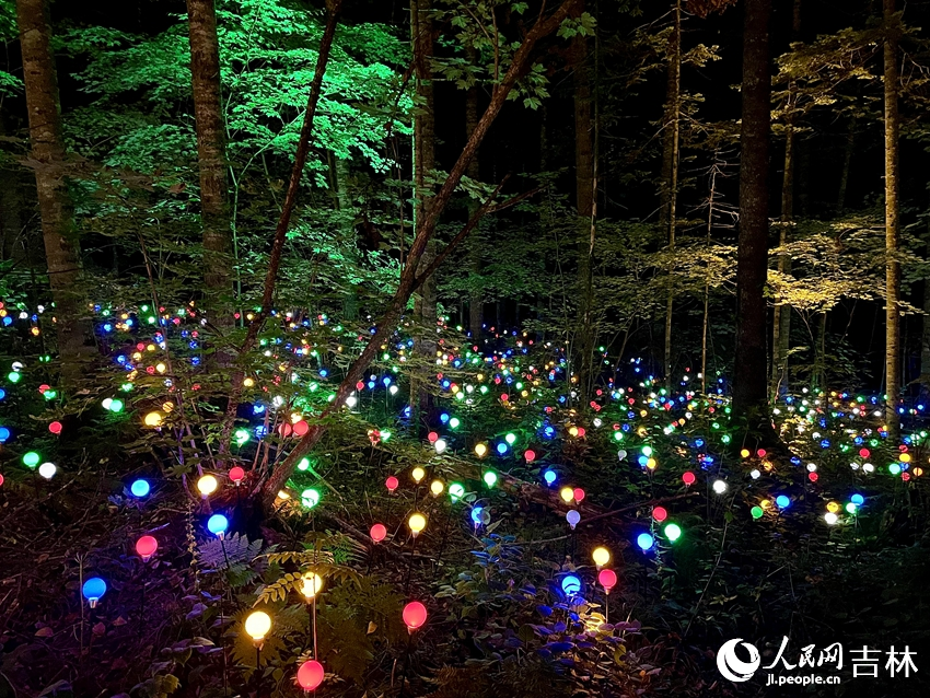 景区运用3D投影和LED特效灯光技术，配合音效将景区变成了一片流光溢彩的不夜森林。人民网记者 李思玥摄