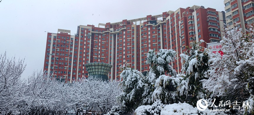 “邂逅”初雪 吉林省長春市今冬第一場雪如約而至【5】