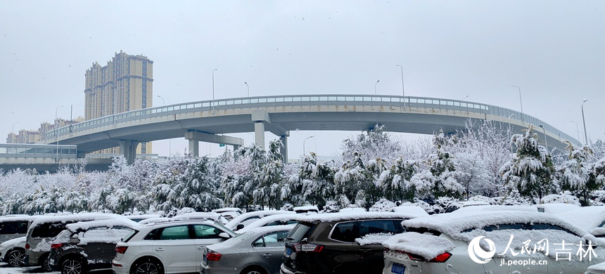 “邂逅”初雪 吉林省長春市今冬第一場雪如約而至【6】