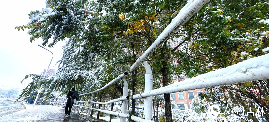 “邂逅”初雪 吉林省长春市今冬第一场雪如约而至【7】