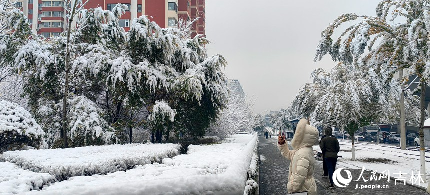 “邂逅”初雪 吉林省長春市今冬第一場雪如約而至【4】