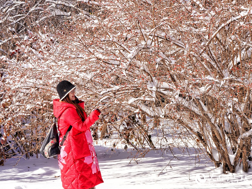 大雪过后，人们走进公园欣赏美景。人民网记者 李洋摄
