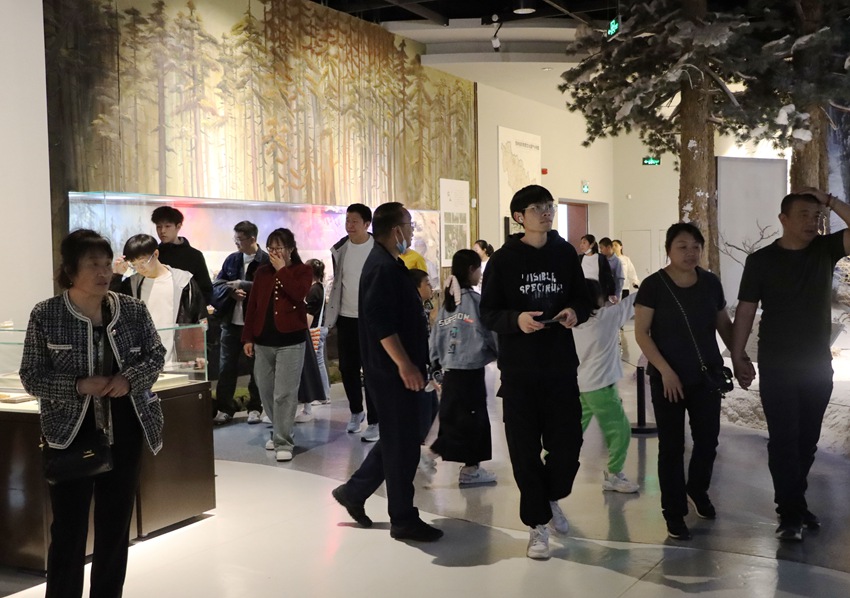  During the May Day holiday, Jilin Provincial Museum was very popular. (Courtesy of Jilin Provincial Museum)