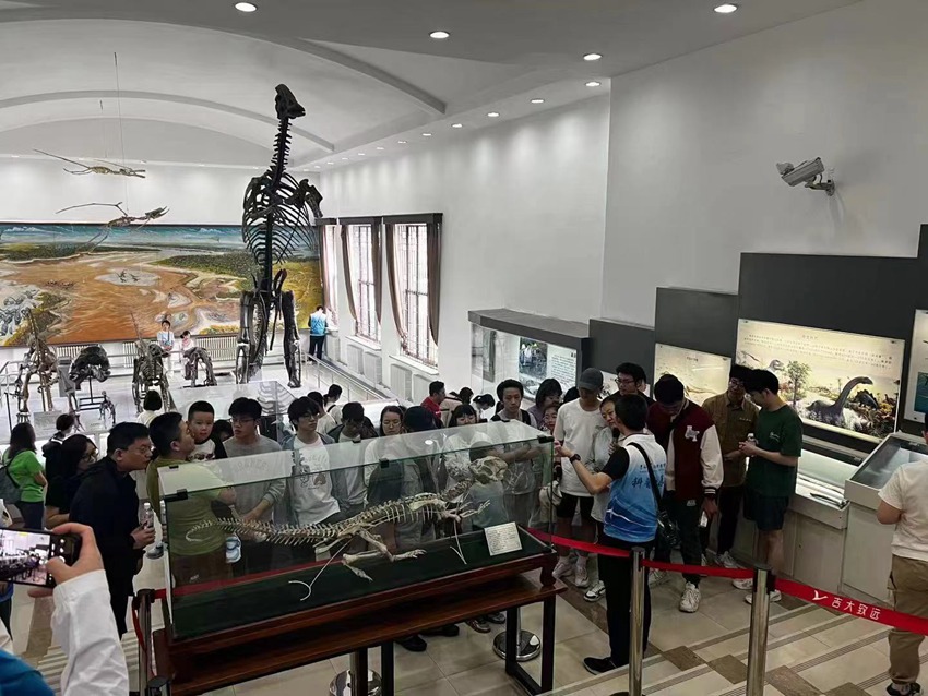 吉林大學地質博物館古生物化石陳列吸引游客駐足參觀拍照。（吉林大學地質博物館供圖）