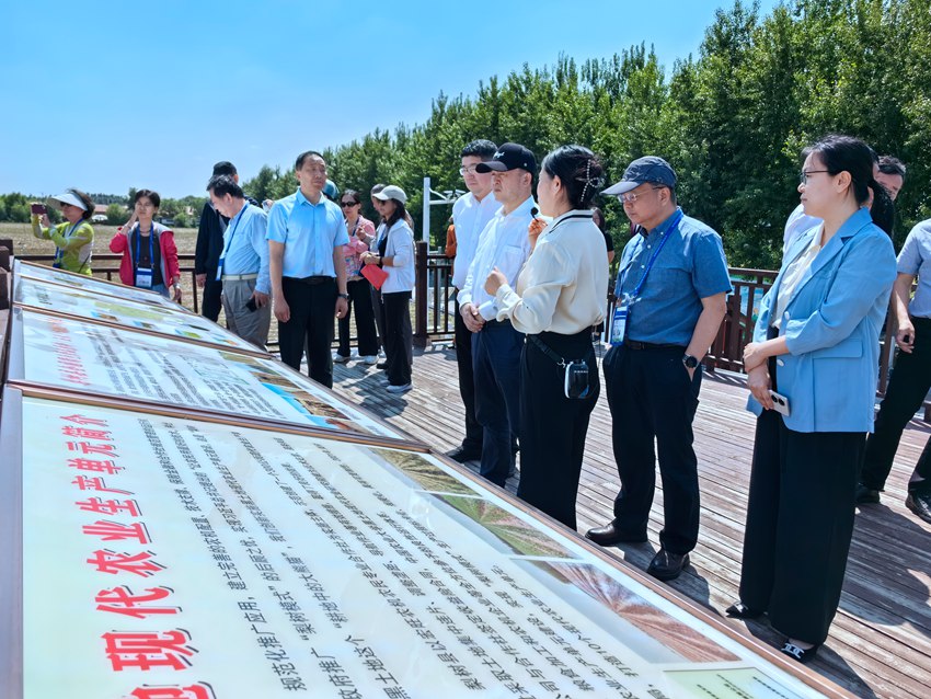 20余位來自各行各業的台商台企代表走進梨樹縣。人民網記者 王海躍攝