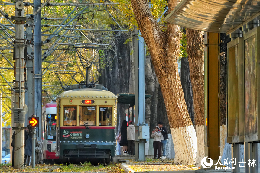 金秋時節，長春市54路有軌電車落葉景觀街區迎來最佳觀賞期。人民網記者 李洋攝