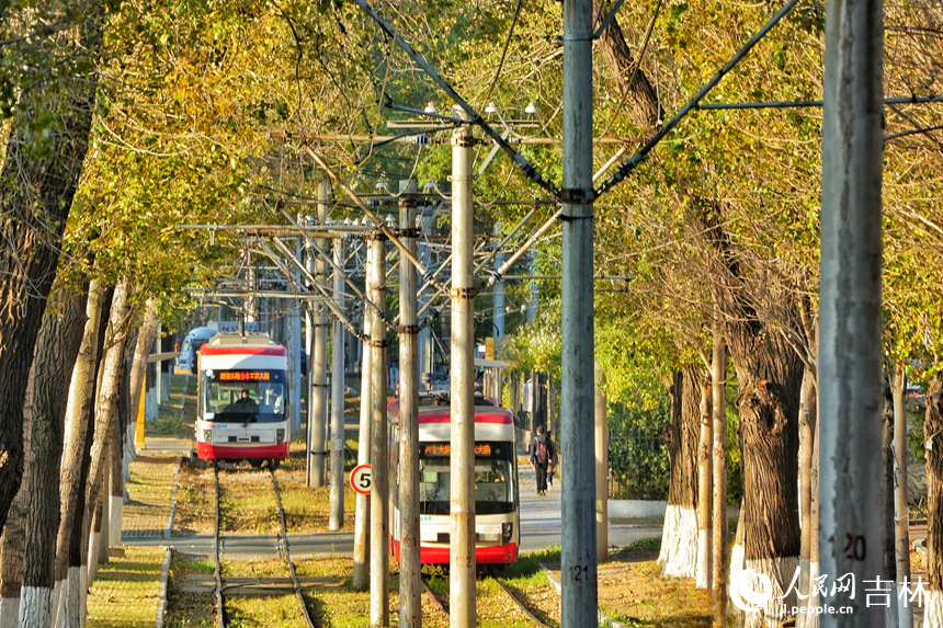 開行在林蔭中的有軌電車。人民網記者 李洋攝