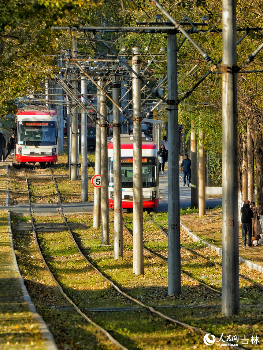 開行在林蔭中的有軌電車。人民網記者 李洋攝