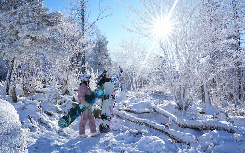 吉林市：高山雾凇漫卷 玉树琼枝如画