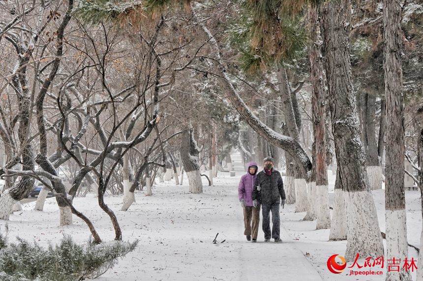 市民在公园中赏雪。人民网记者 李洋摄