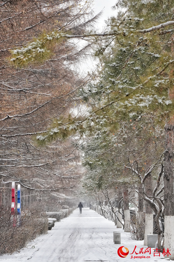 26日，长春迎来入冬以来最强降雪天气，整座城市银装素裹。人民网记者 李洋摄