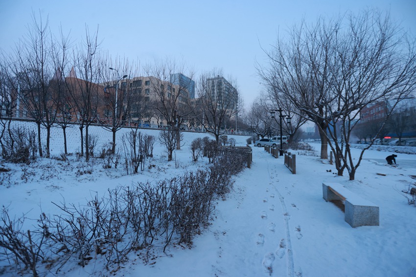 2025年第一场雪。李军广  摄
