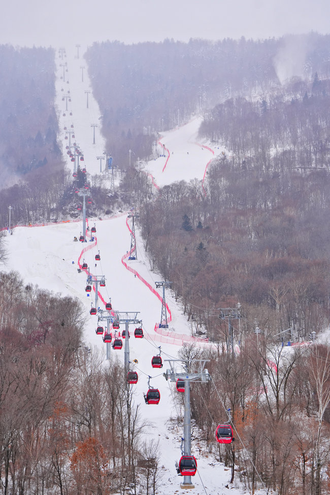 北大湖滑雪度假区直通山顶的缆车和雪道。人民网记者 李洋摄