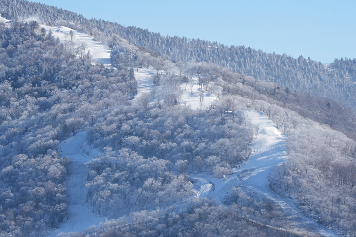 北大湖滑雪度假区高山雾凇景观。人民网记者 李洋摄