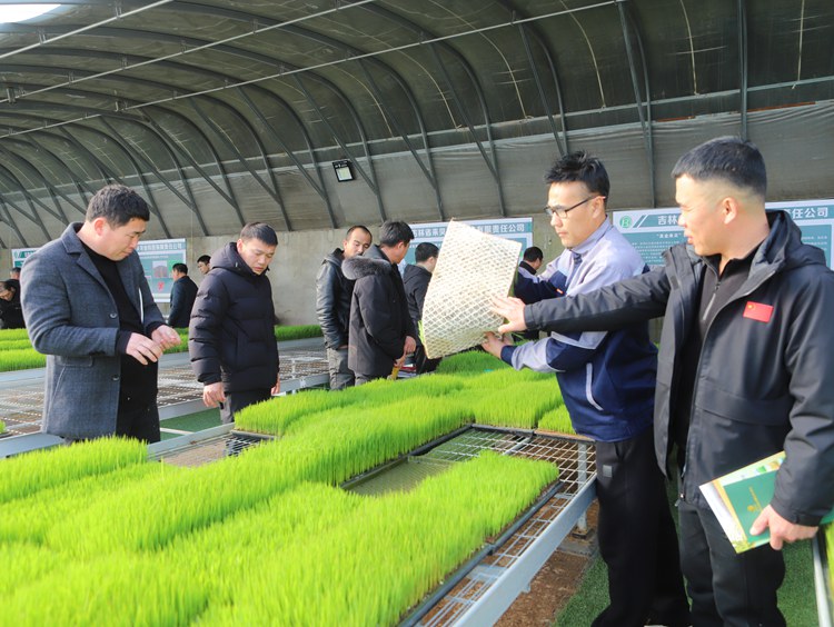 来贝公司负责人向青年农民介绍水稻育秧新技术