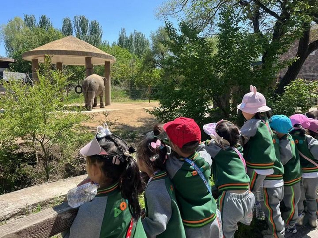 2024年5月20日，小朋友們在長春市動植物公園觀賞母象“昂亞”。新華社記者趙丹丹 攝