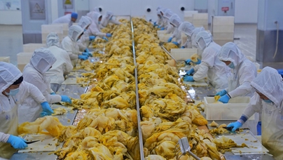 行進中國︱東北酸菜裡的幸福味道在長春九台經濟開發區朱老六食品股份有限公司酸菜生產車間，一缸缸酸菜散發出濃郁的香味，清冽的漿水透亮醇厚。