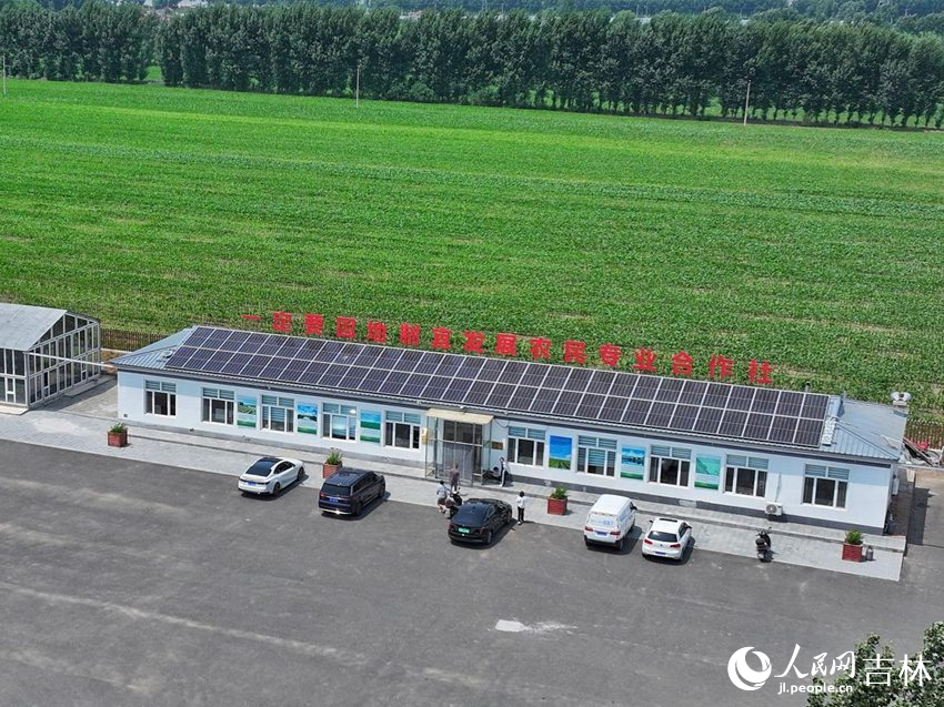 卢伟农机农民专业合作社。人民网记者 李洋摄