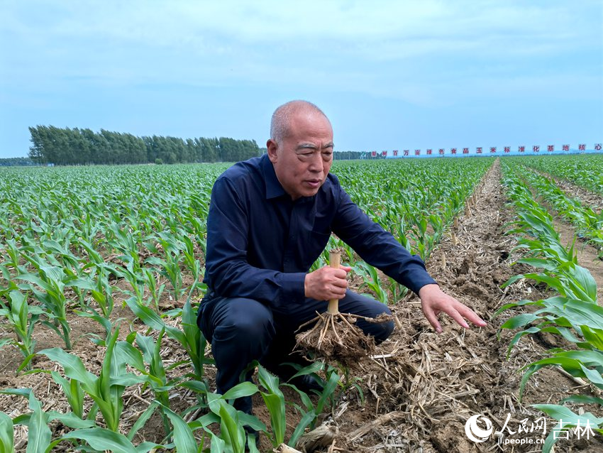 王贵满介绍“梨树模式”。人民网记者 马俊华摄
