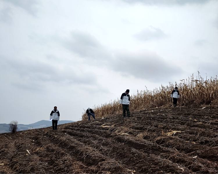 靖宇县四普队员保持间距实地采集标本。