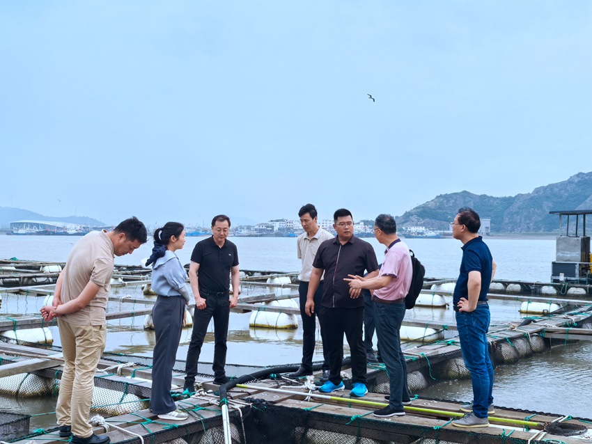“大黄鱼锥体虫病绿色防控技术研究与示范”项目顺利通过专家组阶段性验收