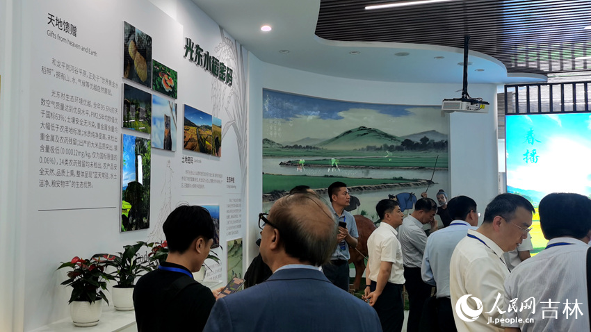 光东村稻米展览馆。人民网记者 王帝元摄
