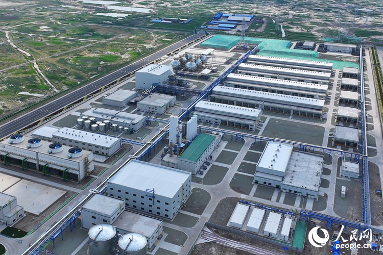 吉林大安風光制綠氫合成氨一體化示范項目。人民網記者 李洋攝