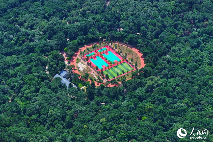 長春南湖公園內，被綠意環繞的運動場。人民網記者 李洋攝