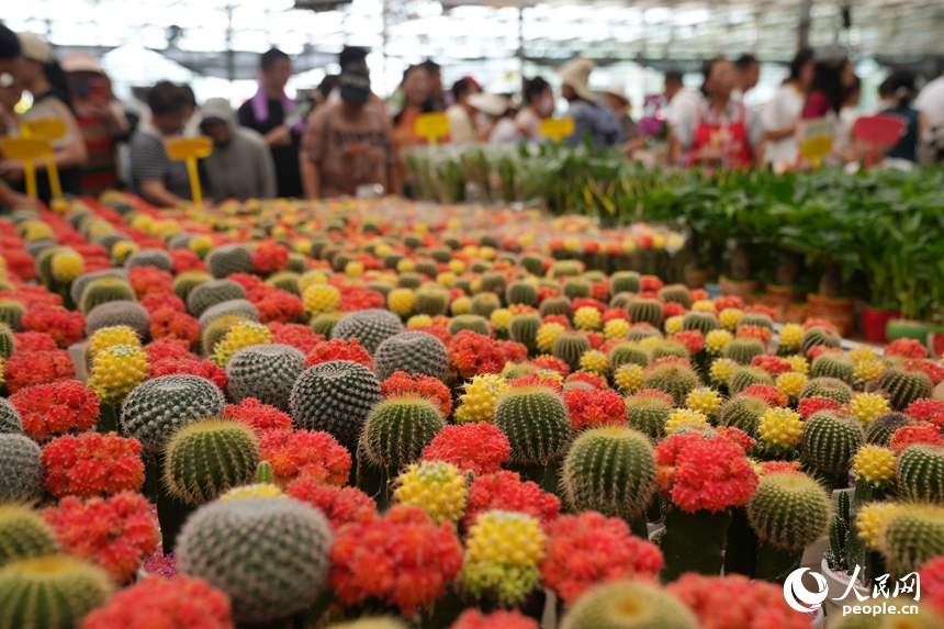 观众在长春农博会参观。人民网记者 李洋摄