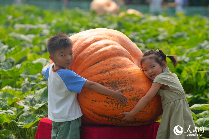 长春农博会上，两位小朋友与巨型南瓜合影。人民网记者 李洋摄