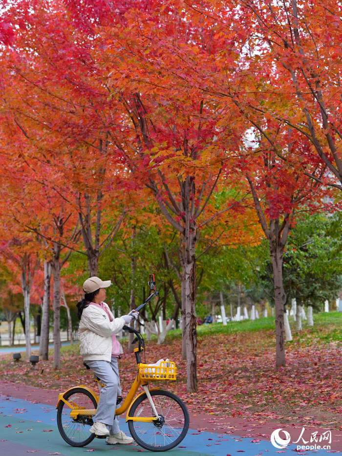 游客在月荷文化園拍照留念。人民網記者 李洋攝